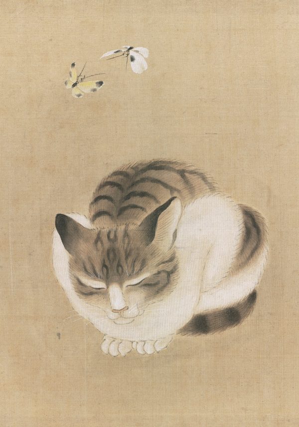 Sleeping Cat and Butterflies Small Boxed Cards - Image 2