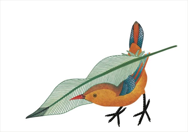 Qavavau Manumie: Feathering the Nest Small Boxed Cards - Image 2