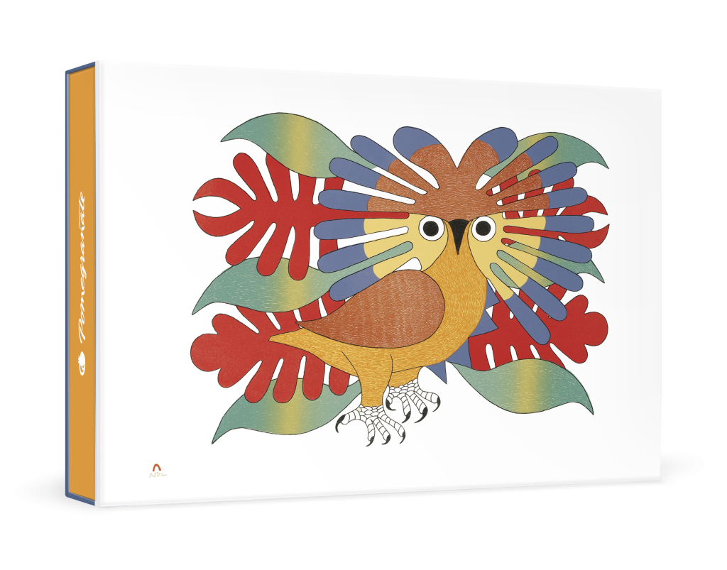 Kenojuak Ashevak: Sun Owl and Foliage Small Boxed Cards