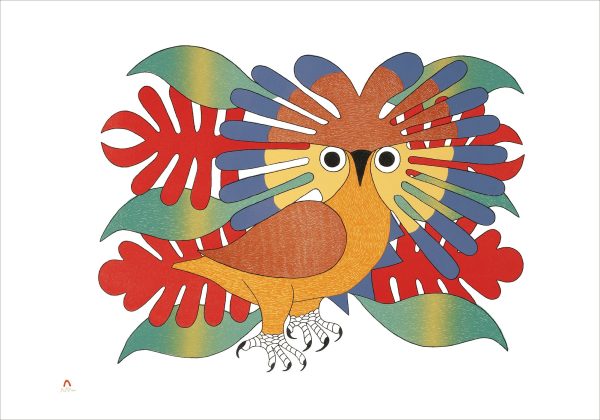 Kenojuak Ashevak: Sun Owl and Foliage Small Boxed Cards - Image 2