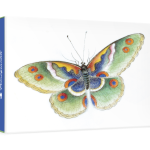 Butterfly Small Boxed Cards