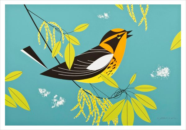 Charley Harper: Blackburnian Warbler Small Boxed Cards - Image 2