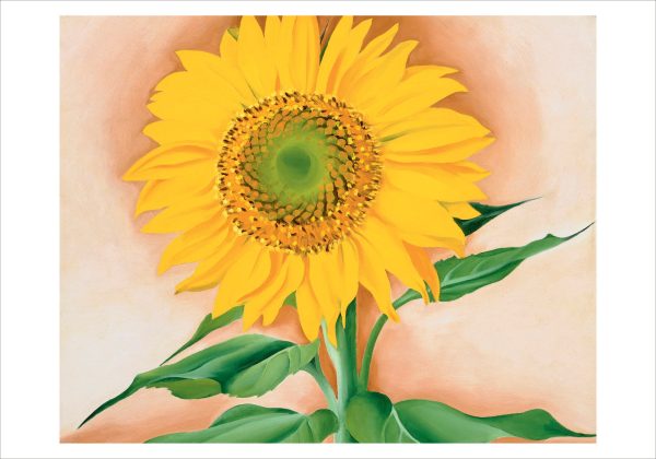 Georgia O'Keeffe: A Sunflower from Maggie Small Boxed Cards - Image 2