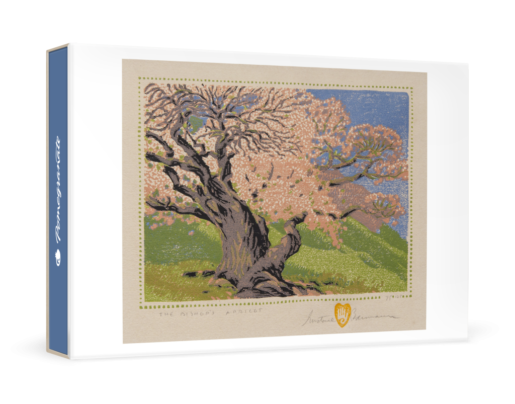 Gustave Baumann: The Bishop's Apricot Small Boxed Cards