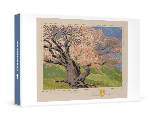 Gustave Baumann: The Bishop's Apricot Small Boxed Cards