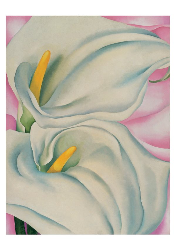 Georgia O'Keeffe: Two Calla Lilies on Pink Small Boxed Cards - Image 2