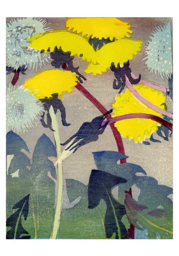 Mabel Royds: Dandelions Small Boxed Cards - Image 2
