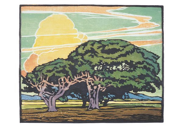 William S. Rice: Del Monte Oaks Small Boxed Cards - Image 2