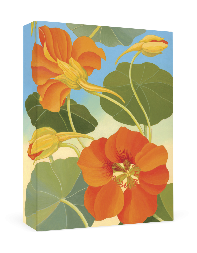 Siri Schillios: Nasturtium Boxed Thank You Notes