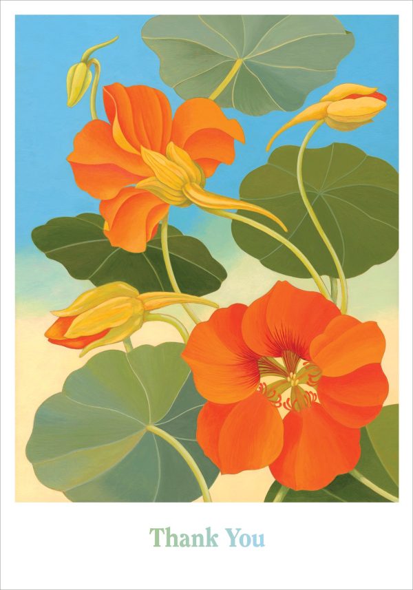 Siri Schillios: Nasturtium Boxed Thank You Notes - Image 2