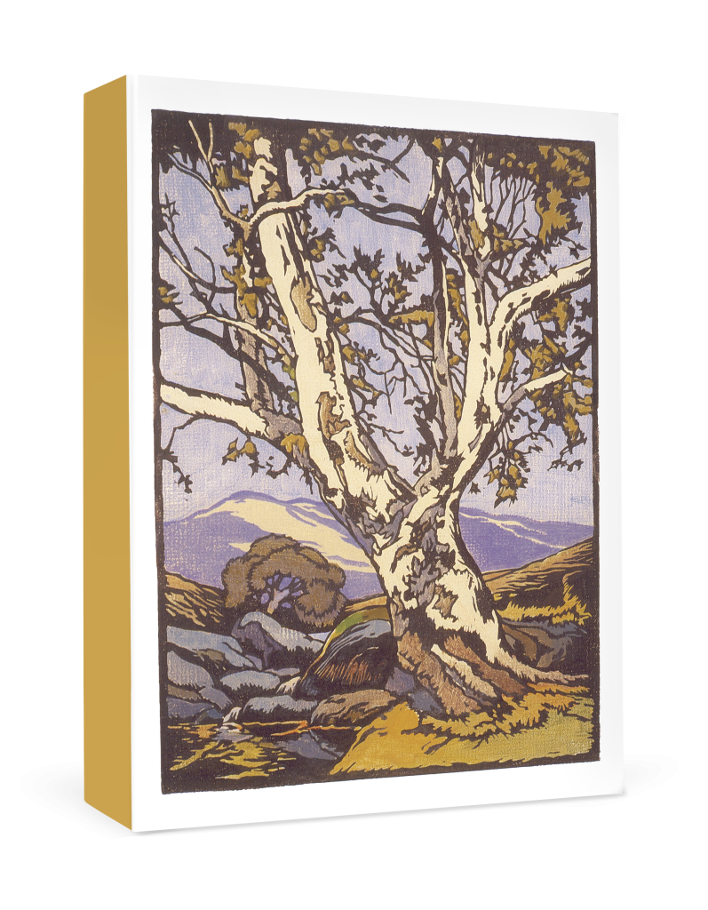 William S. Rice: Western Sycamore Boxed Thank You Notes