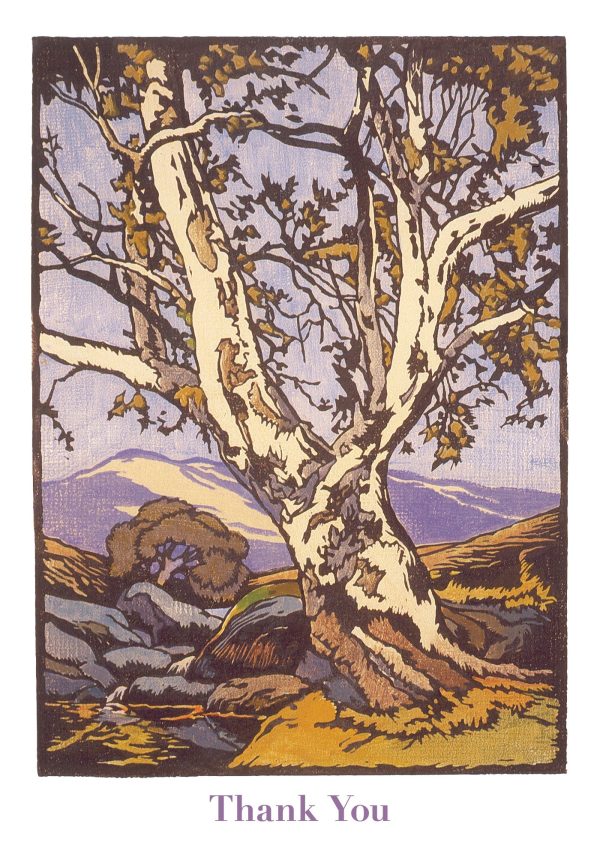 William S. Rice: Western Sycamore Boxed Thank You Notes - Image 2