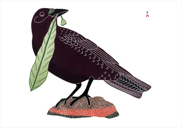Birds of Cape Dorset Boxed Notecard Assortment - Image 4