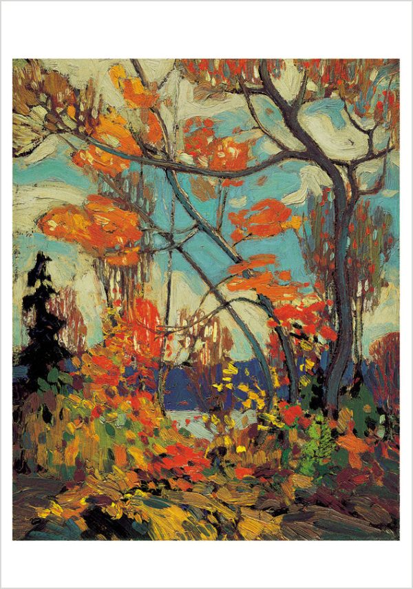 Tom Thomson Boxed Notecard Assortment - Image 2