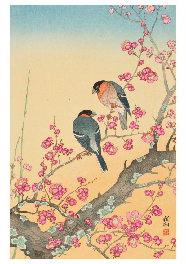 Ohara Shōson Boxed Notecard Assortment - Image 2