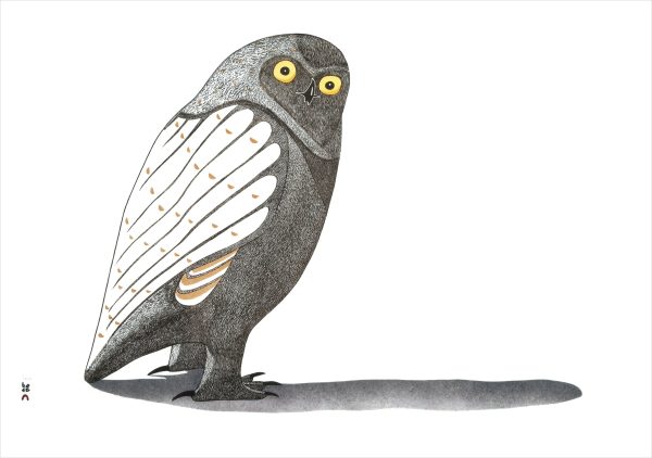 Owls: Inuit Art from Kinngait Boxed Notecard Assortment - Image 3