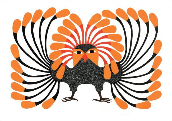 Owls: Inuit Art from Kinngait Boxed Notecard Assortment - Image 4