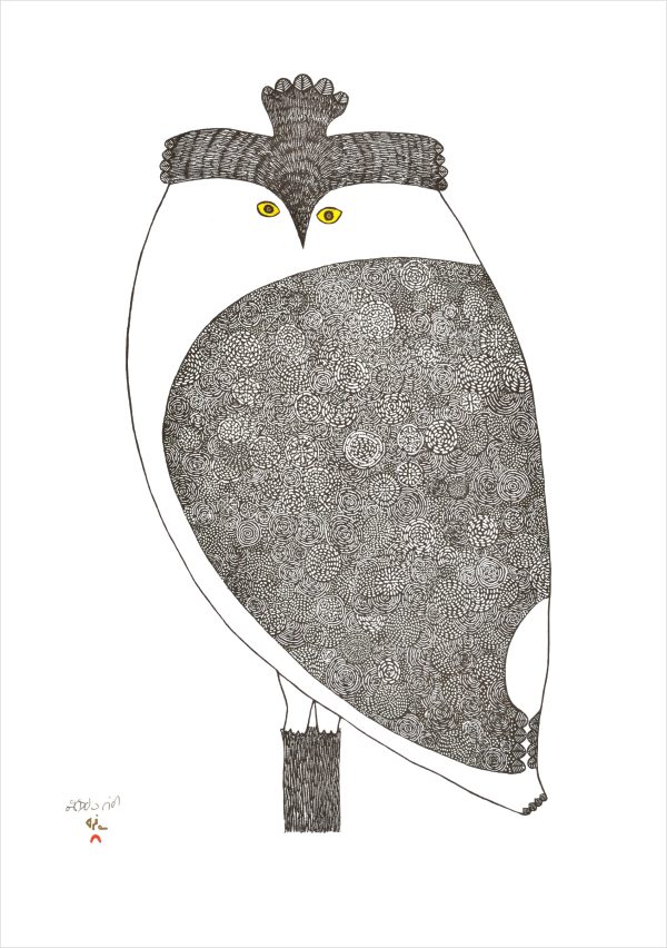 Owls: Inuit Art from Kinngait Boxed Notecard Assortment - Image 5