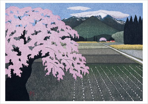 Kazuyuki Ohtsu: Cherry Trees Boxed Notecard Assortment - Image 2