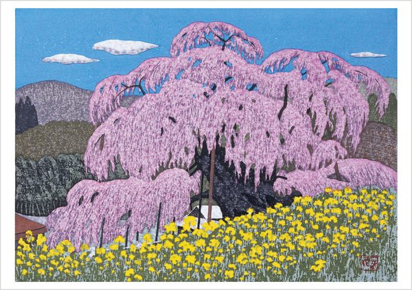 Kazuyuki Ohtsu: Cherry Trees Boxed Notecard Assortment - Image 5