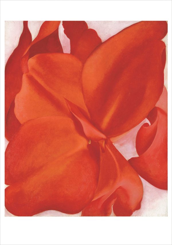 Georgia O'Keeffe Boxed Notecard Assortment - Image 5
