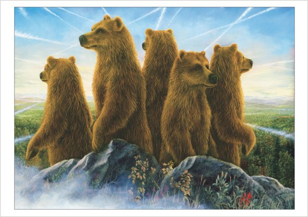 Bears by Bissell Boxed Notecard Assortment - Image 2