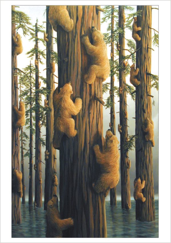 Bears by Bissell Boxed Notecard Assortment - Image 3