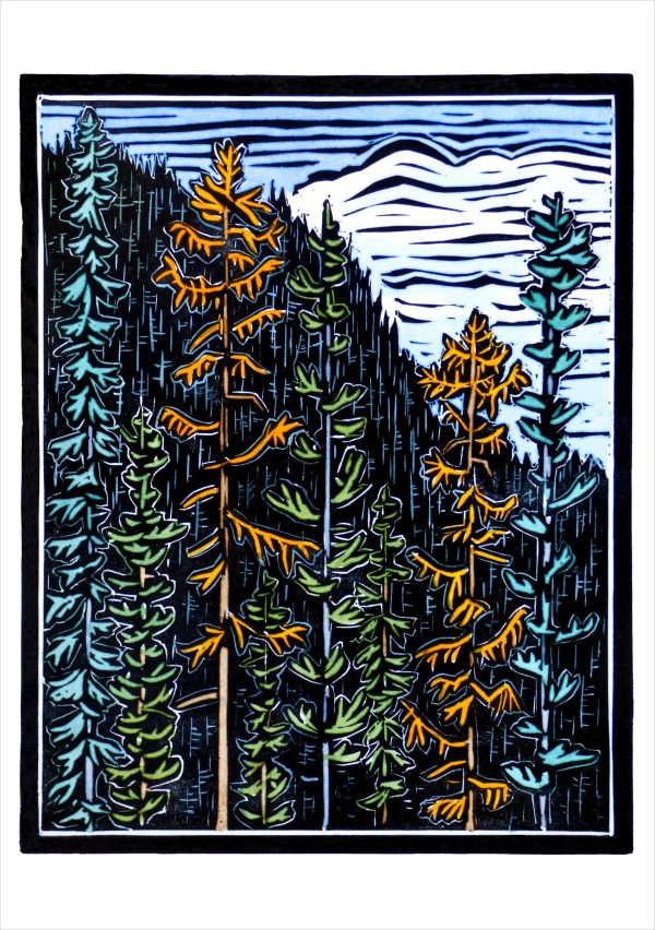 Molly Hashimoto: Trees Boxed Notecard Assortment - Image 3