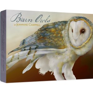 Barn Owls by Jeannine Chappell Boxed Notecard Assortment