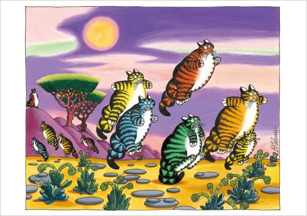 B. Kliban: CatFun Boxed Notecard Assortment - Image 2