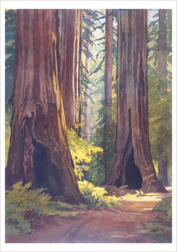 William S. Rice: Watercolors Boxed Notecard Assortment - Image 3