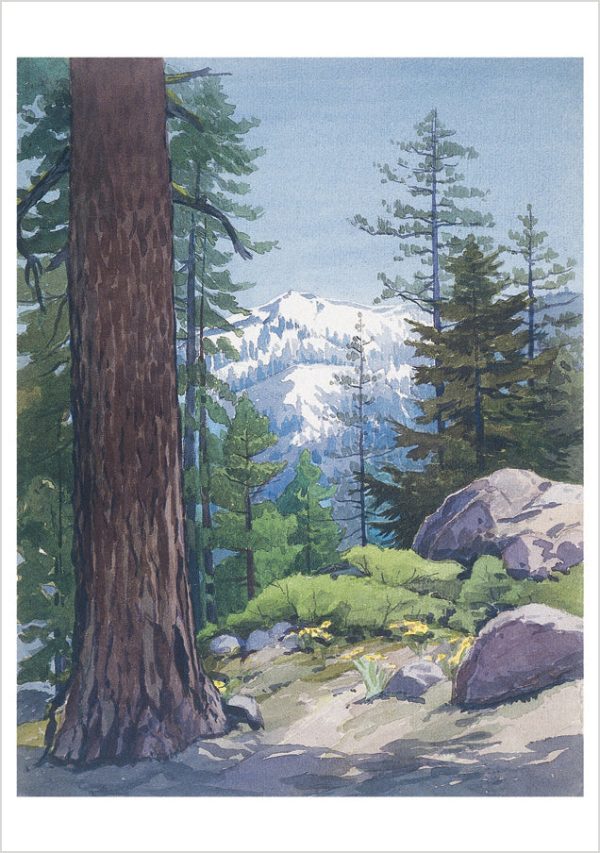 William S. Rice: Watercolors Boxed Notecard Assortment - Image 4