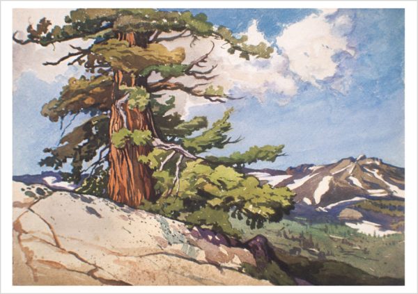 William S. Rice: Watercolors Boxed Notecard Assortment - Image 5