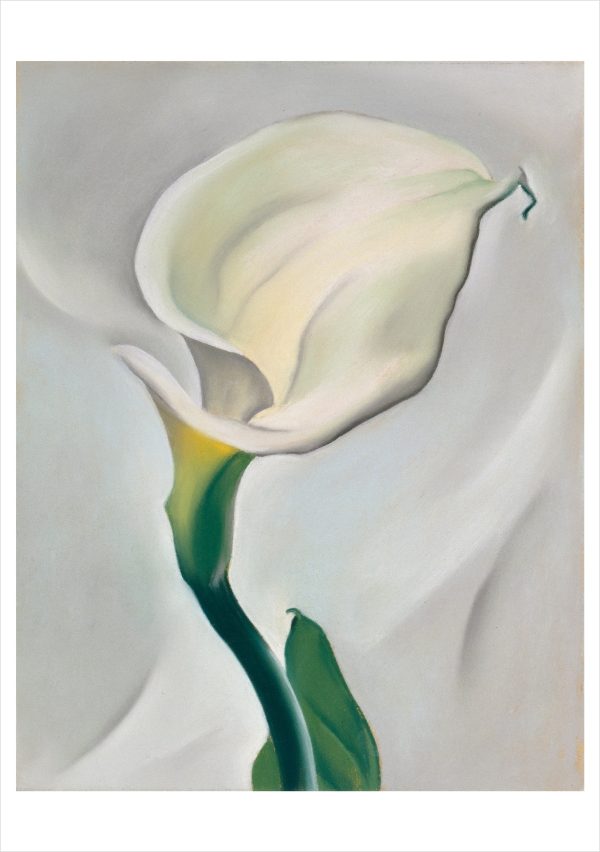 Georgia O'Keeffe Paintings Boxed Notecard Assortment - Image 3