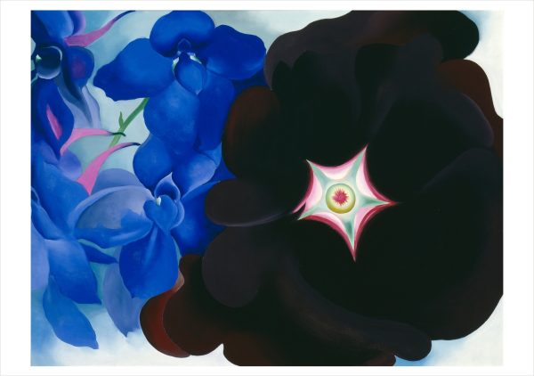 Georgia O'Keeffe Paintings Boxed Notecard Assortment - Image 5