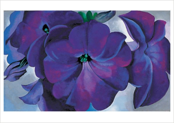 Georgia O'Keeffe: Petunias Notecard Folio - Image 3