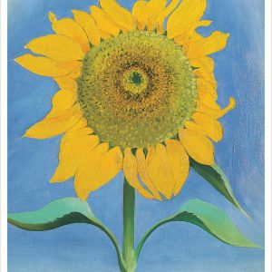 Georgia O'Keeffe: Sunflowers Notecard Folio