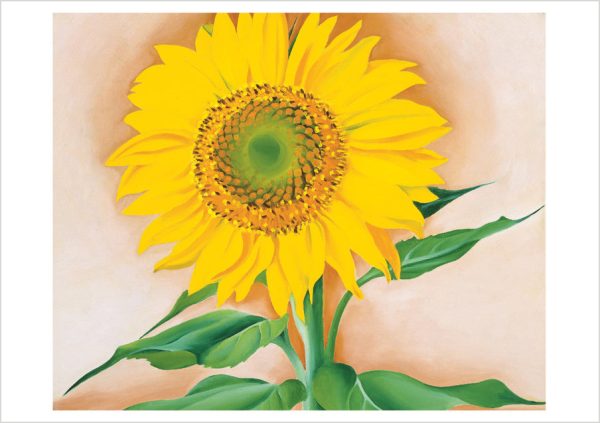 Georgia O'Keeffe: Sunflowers Notecard Folio - Image 2