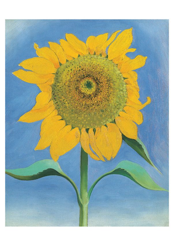 Georgia O'Keeffe: Sunflowers Notecard Folio - Image 3