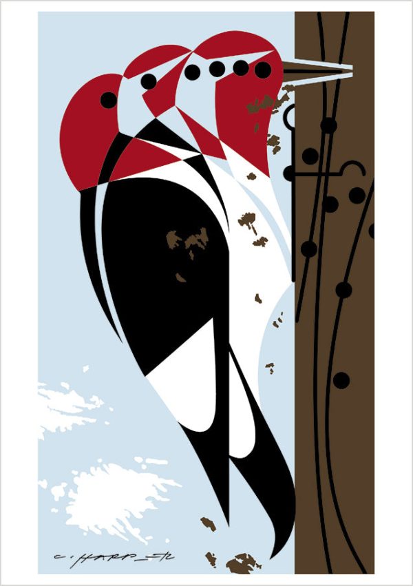 Charley Harper: Woodpeckers Notecard Folio - Image 3