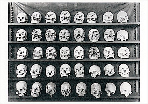 Dead Heads Postcard