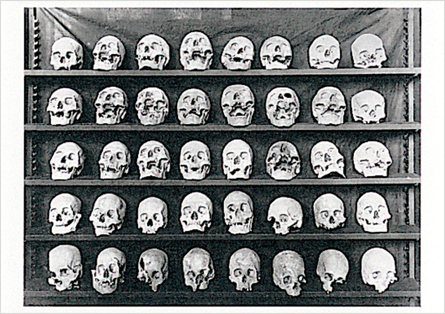 Dead Heads Postcard