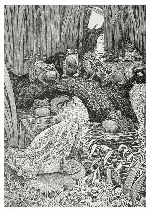 Louis Rhead: Invited to a Family Concert Postcard