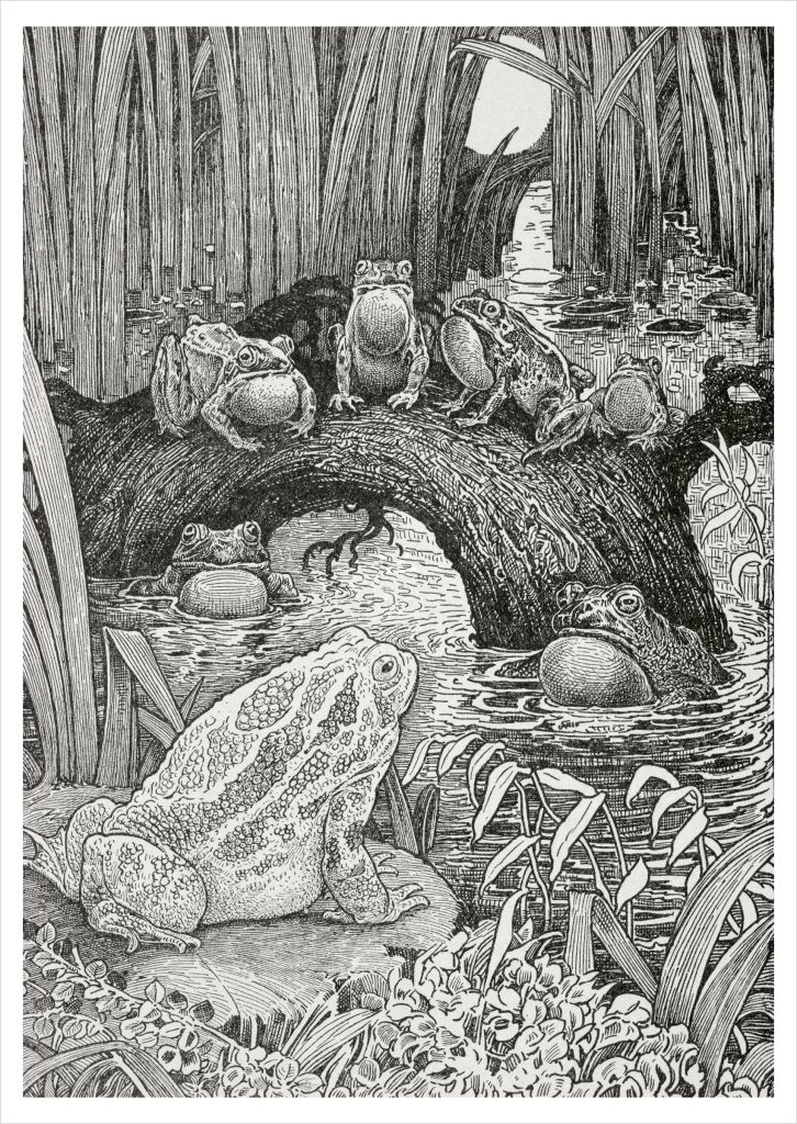 Louis Rhead: Invited to a Family Concert Postcard