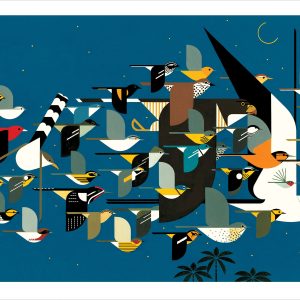 Charley Harper: Mystery of the Missing Migrants Notecard