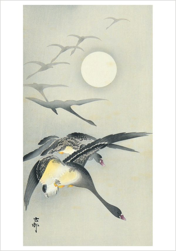 Ohara Koson (Shōson): Geese and the Moon Notecard