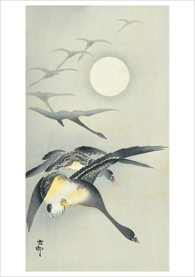 Ohara Koson (Shōson): Geese and the Moon Notecard