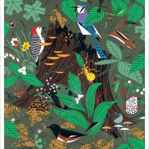 Charley Harper: Woodland Wonders Notecard