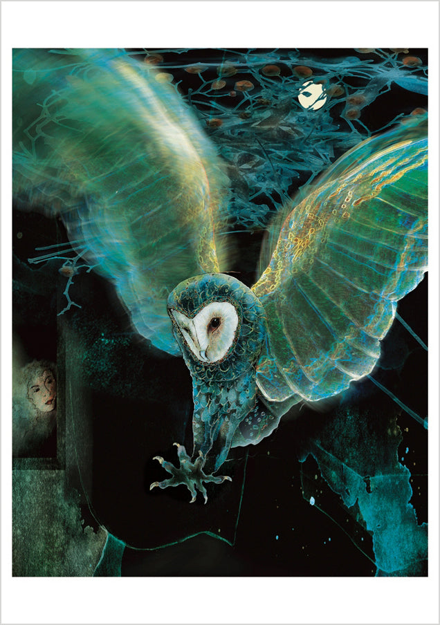 Jeannine Chappell: Barn Owl 3 Notecard