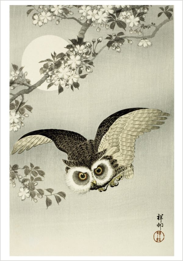 Ohara Koson (Shōson): Scops Owl. Cherry Blossoms and Moon Notecard